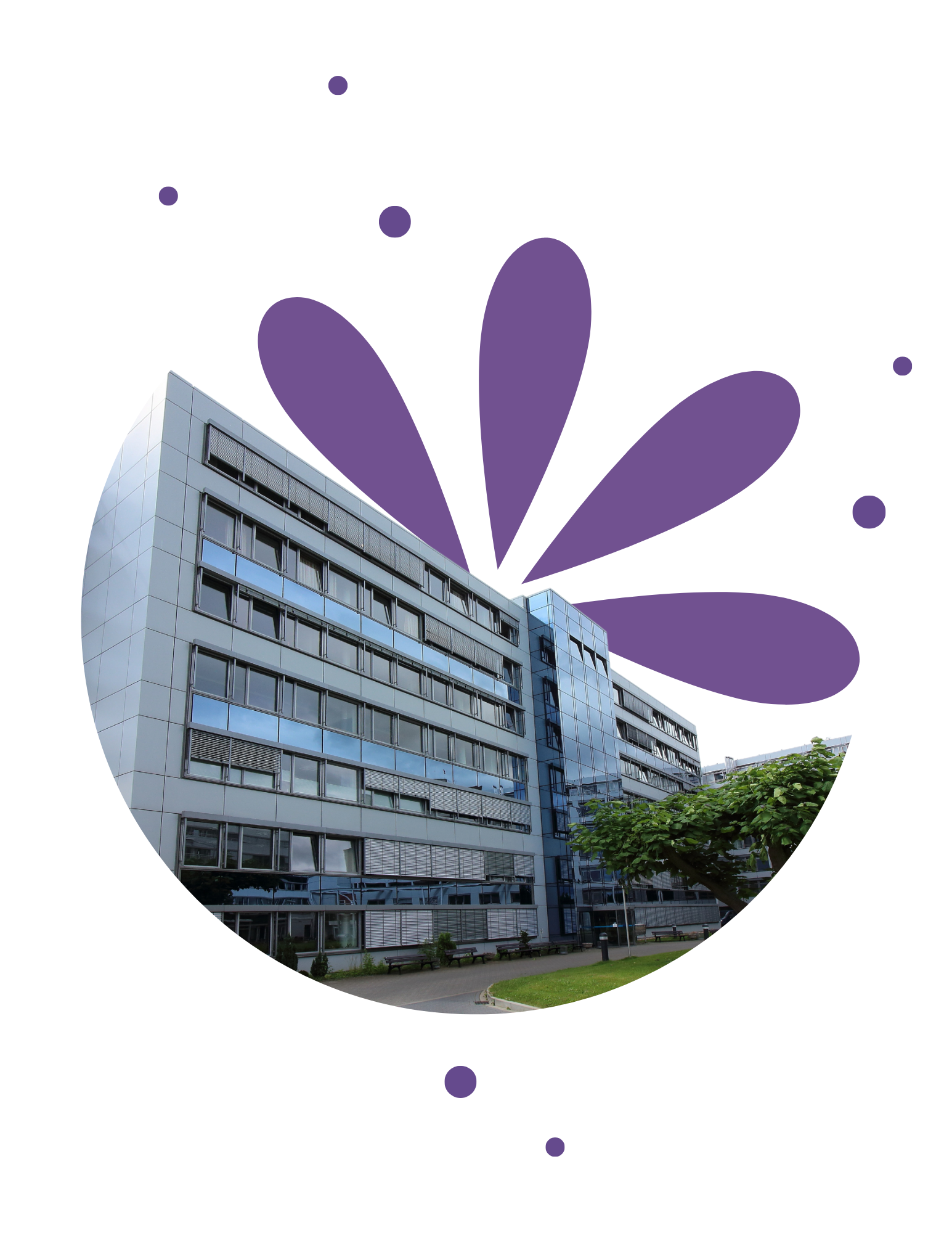 Design sans titre (17).png